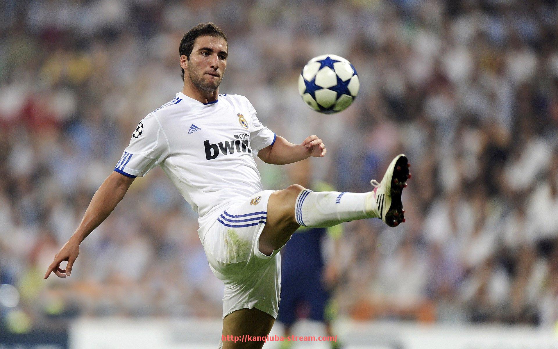 看球吧直播-高端健身器材选购指南:设计、功能与品牌全面比较